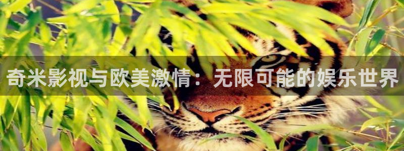 樱花动漫在线免费漫画