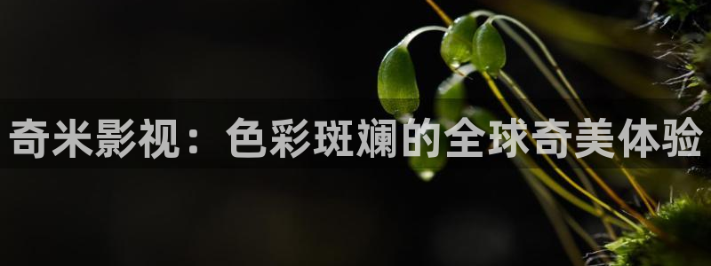 樱花草视频wwww