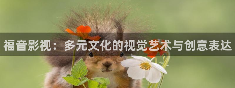 一念永恒免费观看完整版樱花
