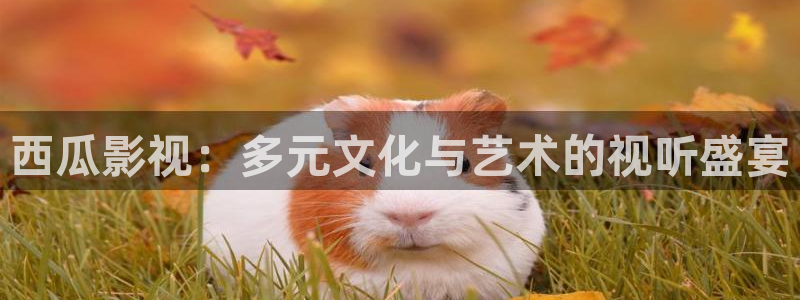 你的名字免费观看樱花动漫