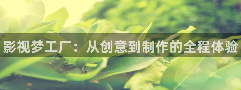樱花在线观看免费版动漫