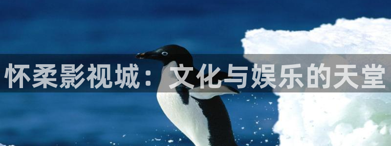 樱花视频免费